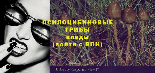 мяу мяу кристалл Гусев