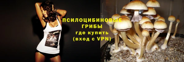 дживик Гусь-Хрустальный