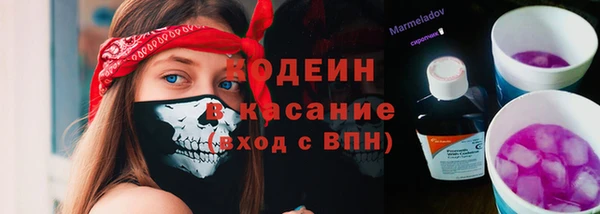 дживик Гусь-Хрустальный