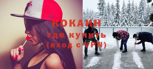 дживик Гусь-Хрустальный