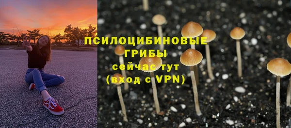 дживик Гусь-Хрустальный