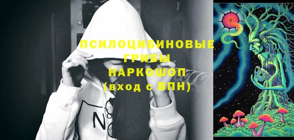 дживик Гусь-Хрустальный