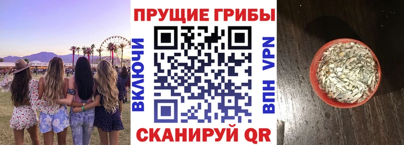 Галлюциногенные грибы Cubensis  Купить где  Петровск-Забайкальский 